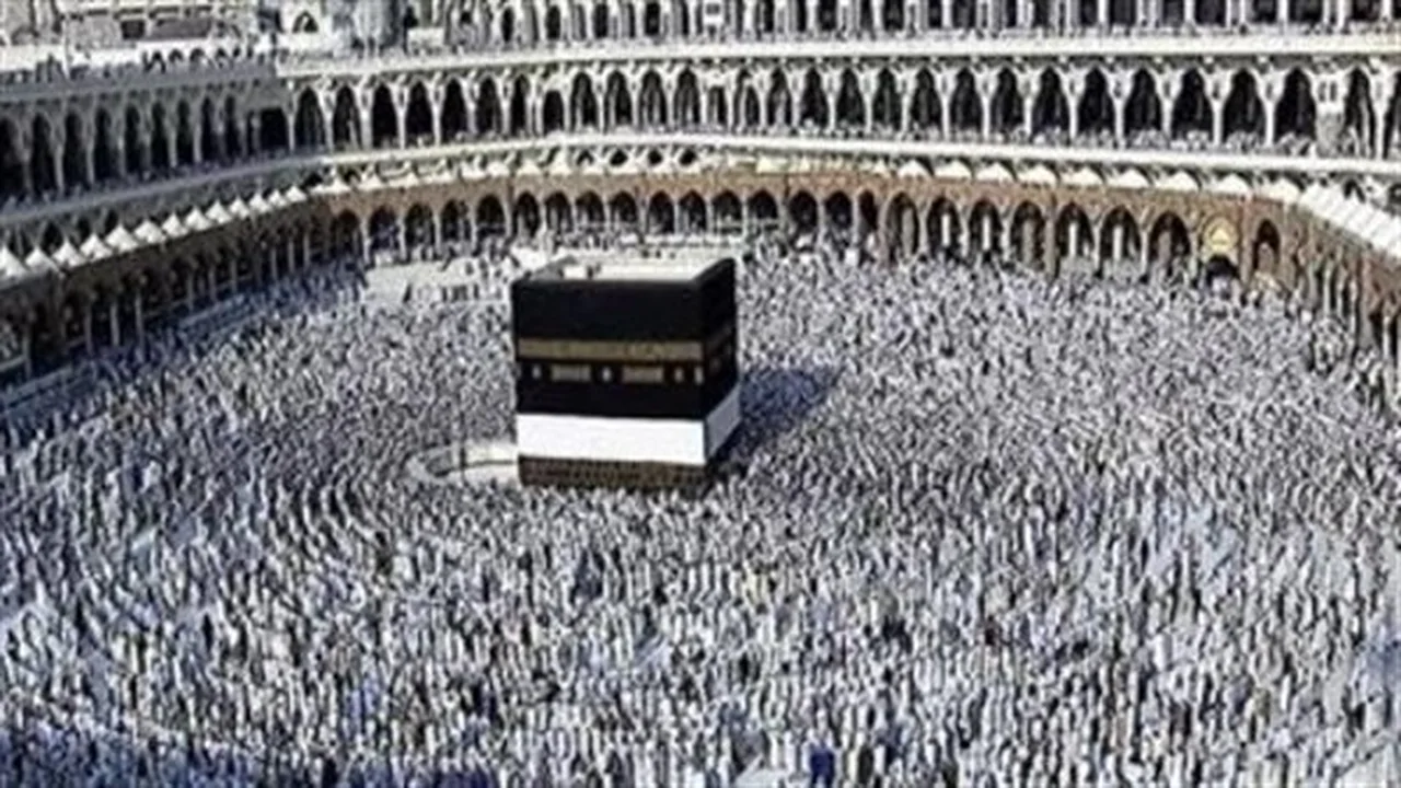بعثة الحج: جميع حجاج مصر بخير في صعيد عرفات